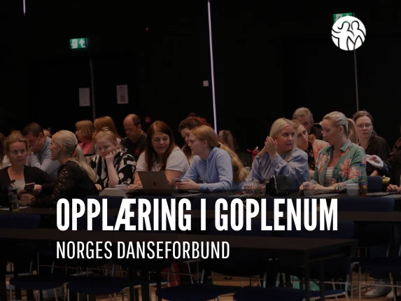 Hva%20skjer%20-%20nye%20maler%204